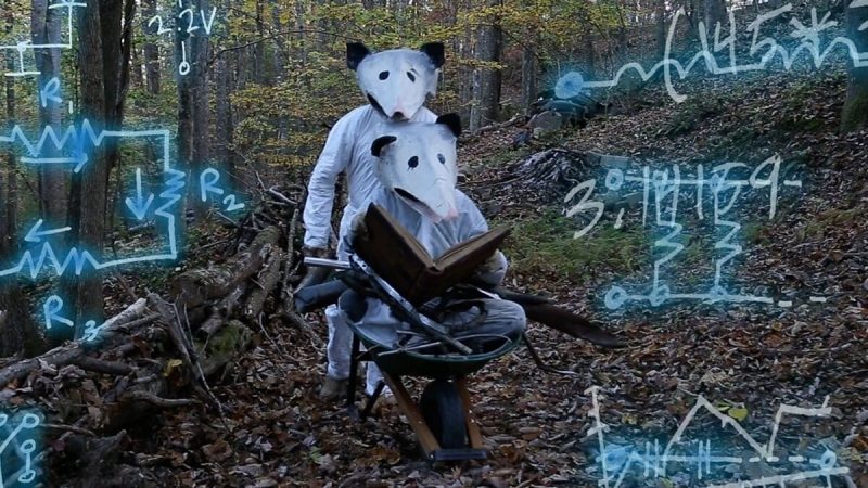  Two people wear white body suits and homemade opossum masks. One pushes a wheelbarrow, while the other sits in it, reading a book. They are in a wooded, leaf-strewn area. Overlaid on the image is blue mathematical-looking symbols.