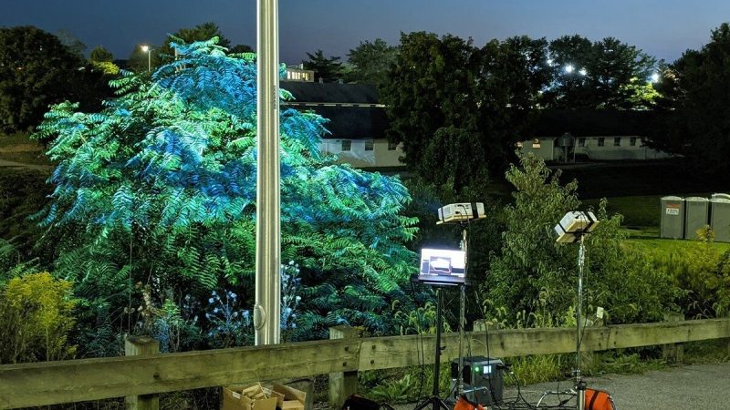  A projection mapping project highlighting invasive plant species in our area. Projectors are aimed on a tree with other equipment nearby.