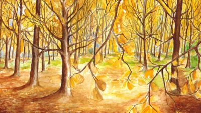  A watercolor by Emma Bustetter of a bright grove of yellow ginko trees. The ground is brown with grass far off in the background, and the sun is streaming down through the treetops. 