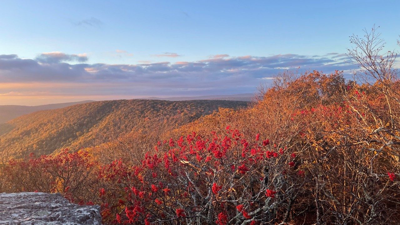  A photograph by Blake Lowery of a stunning fall mountainscape at the golden hour. The sky is a clear blue with scattered grey clouds, and the pink of the sunset is reflected on the clouds and mountains. In the foreground is a bush full of bright red berries.