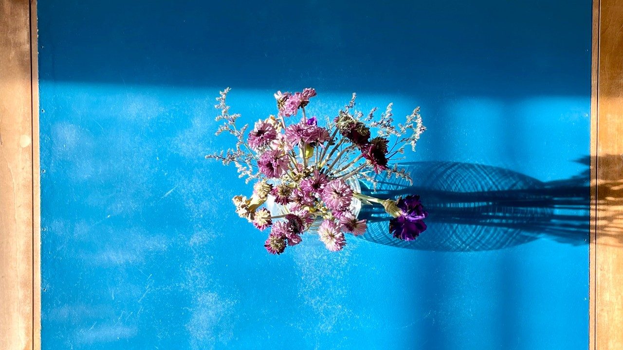  A photograph by Sara Saghafi Moghaddam taken from above. A vase of purple flowers is set on a blue surface with a medium toned wooden edge. A window casts sunlight and shadows on the area. The shadow from the vase and flowers falls directly to the right.