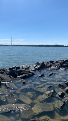  A photograph by Caroline Orlowski of a rock jetty partially submerged in water in the foreground, a river in the background with a sail boat with its sails lowered, a green shoreline in the far distance, and blue sky.