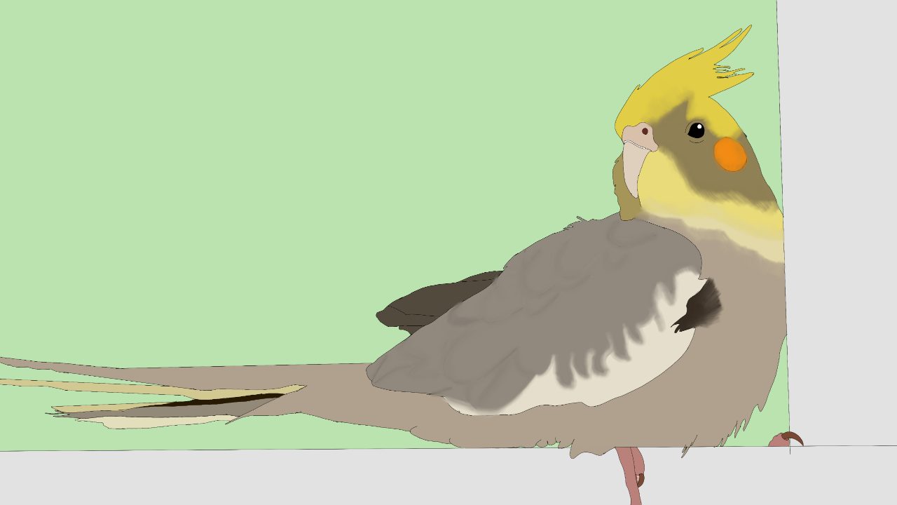  A digital drawing of a cockatiel with a brown and grey body and a yellow head against a light green background.