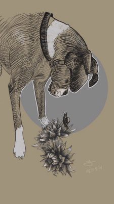  A digital drawing by Claire Yuan of a boxer dog intensely watching a snail on a spiky flower. The colors are muted, with most of the work in a dark beige. The boxer has white patches on its nose, feet, and around it's neck. A grey circle is behind the dog's face and the snail and flower it's on.
