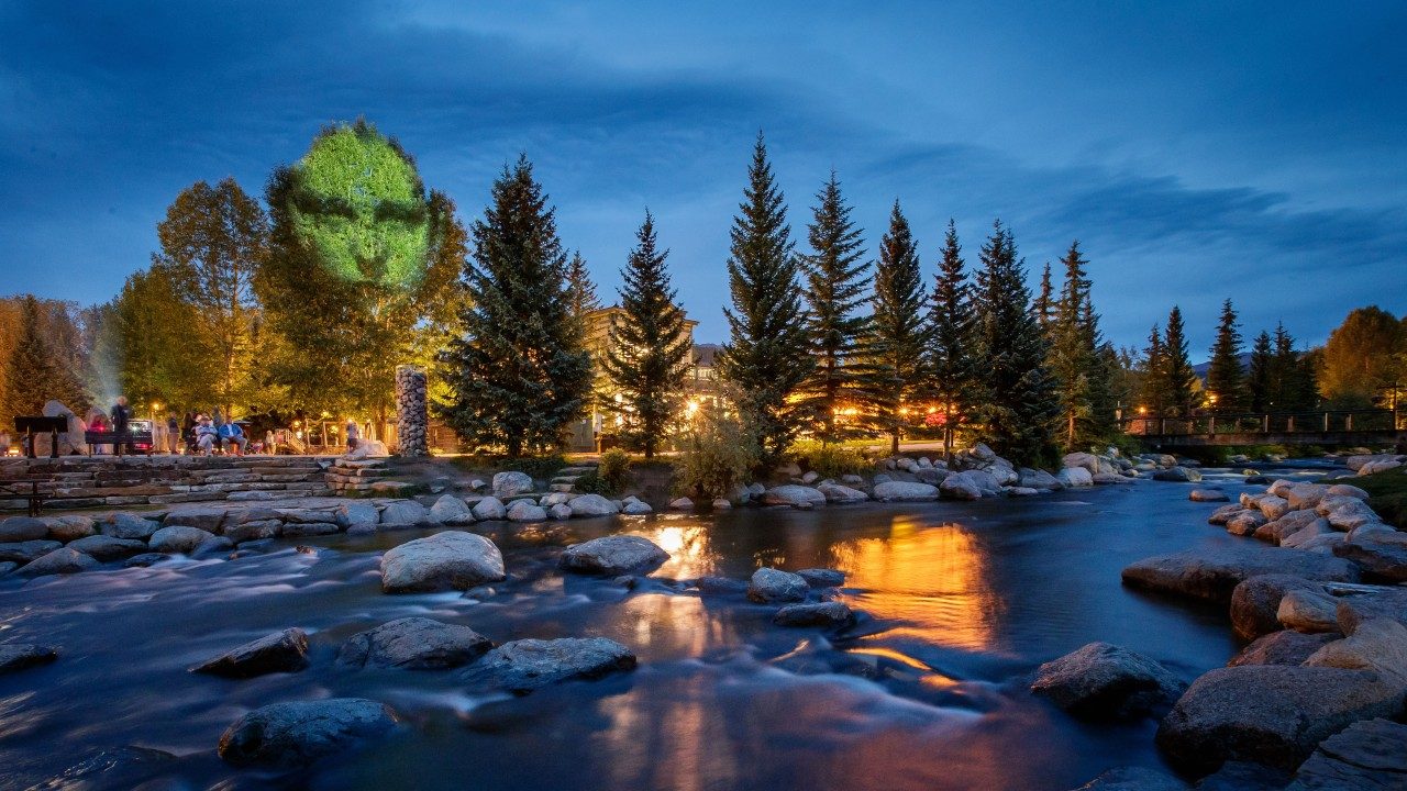  An example of Craig Walsh's "Monuments," enormous night-time projections that transform trees into sculptural monuments. One face is projected onto a tall evergreen tree. In the foreground is a rocky river.