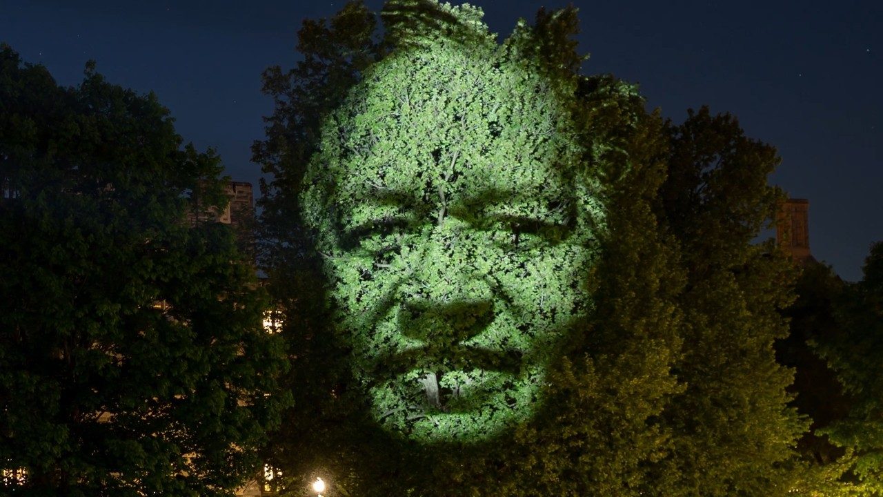  Christiansburg resident Debbie Sherman-Lee's face is projected onto a tall tree on Virginia Tech's Drillfield as part of projection installation "Monuments" by artist Craig Walsh