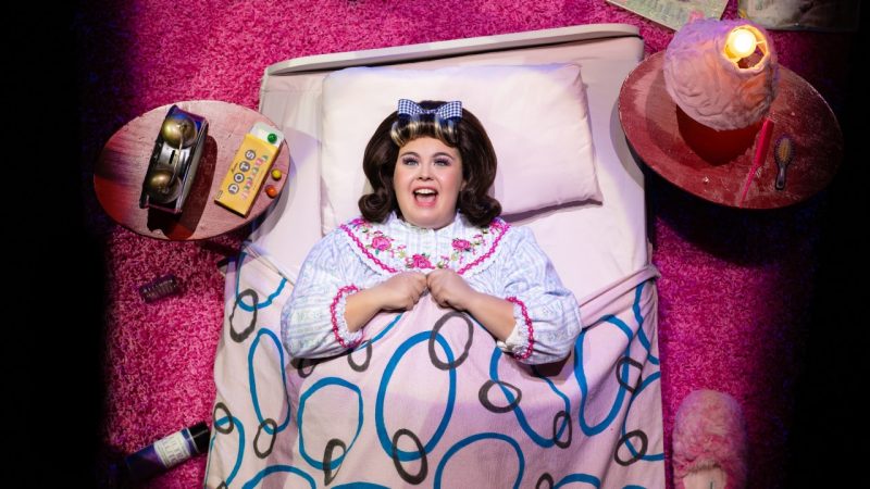  A heavyset white woman with dark 60s-coifed hair with a blue gingham bow in it lays in her bed, as if the camera is above her. The carpet is pink shag, the sheets light pink, and the comforter light pink with blue and brown ovals of varying sizes. On the nightstands next to her head is a lamp, an alarm clock, and a box of Dots candy.