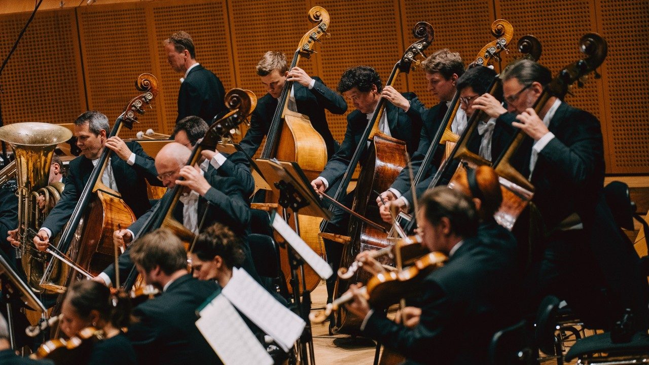  Members of the Bamberg Symphony string section perform on stage, a row of double bass players visible at the back.