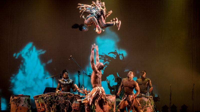 Members of Cirque Kalabanté perform "Afrique en Cirque" on stage. A man is blurry while flipping through the air; two cast members below him prepare to catch him and two men in the background play large djembe drums.