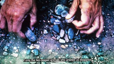 A still from the video projection that accompanies george emilio sanchez's "In the Court of the Conqueror." george's hands are picking up rocks on a beach and subtitles read "if only the two-legged animals who greeted us disappear."