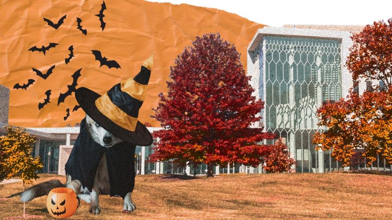 The Center for the Arts at Virginia Tech in fall, with trees in reds and oranges. In front is a dog in a Halloween costume sitting next to a pumpkin trick or treat bucket. A group of bats flies in the air behind the dog.