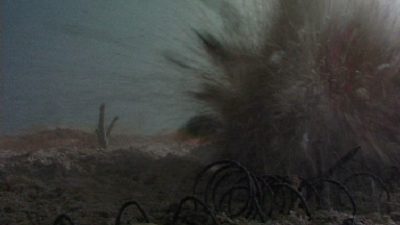 A still of the screen during Hotel Modern's "The Great War"